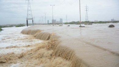 سندھ میں بارش کی تباہ کاریاں، 100 افراد جاں بحق