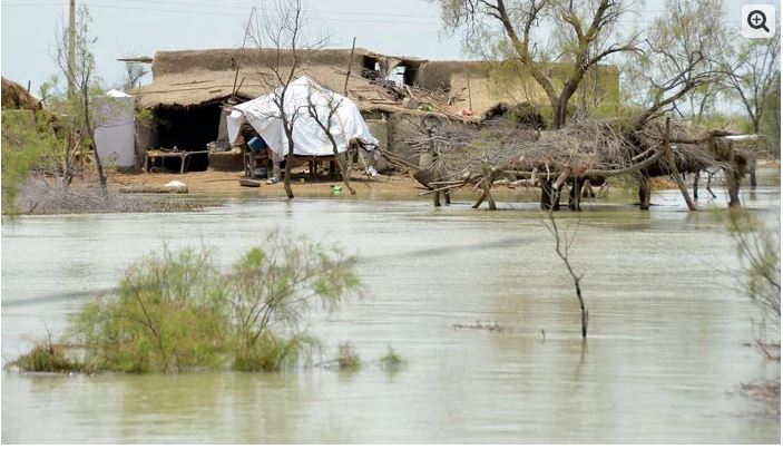 پاکستا ن میں سیلاب کی تباہ کاریاں میں
