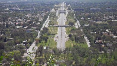 Climate Change Impacts on Trees in Urban Areas BBC