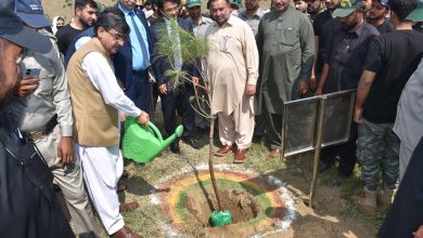 Combating Climate Change Program in Pakistan 2